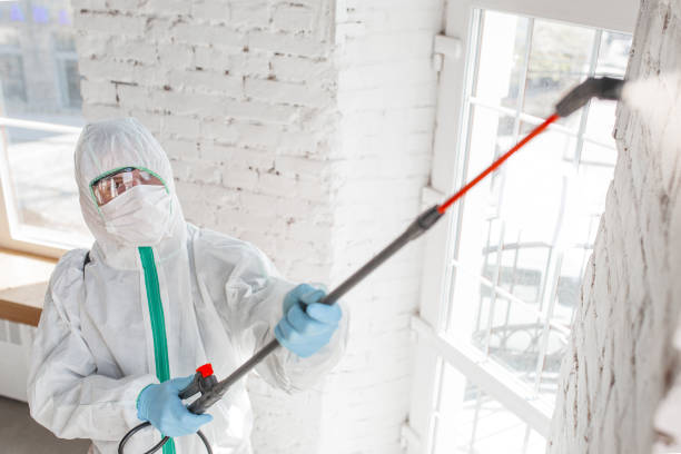 Best Post-Construction Mold Inspection  in Irrigon, OR