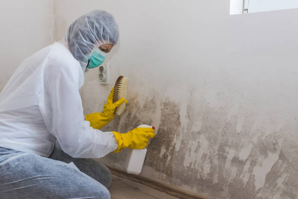 Best Crawl Space Mold Remediation  in Irrigon, OR