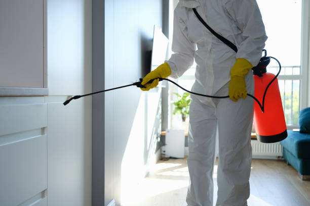 Best Mold Odor Removal Services  in Irrigon, OR