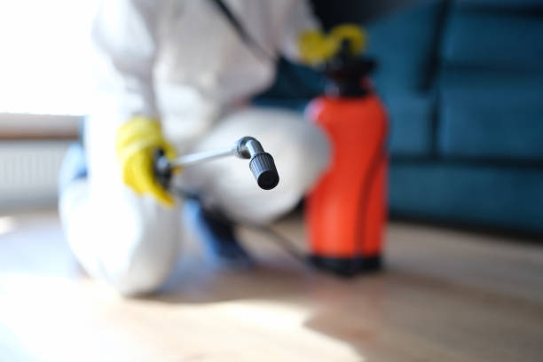  Irrigon, OR Mold Removal Pros