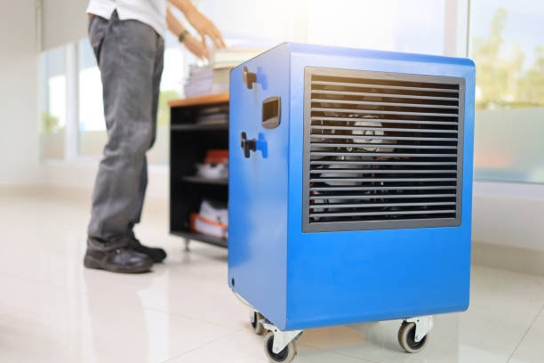 Best Airborne Mold Testing  in Irrigon, OR