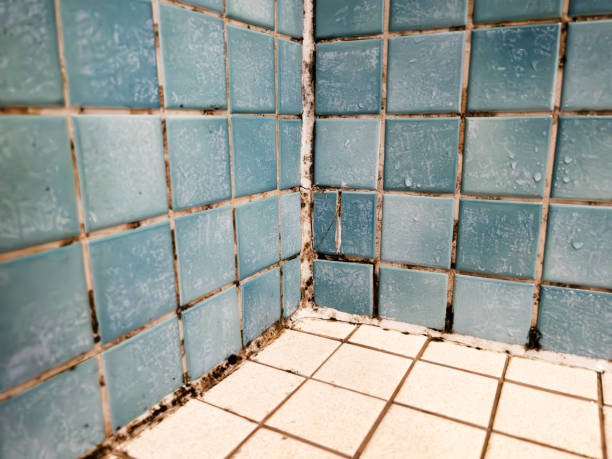 Best Biohazard Mold Removal  in Irrigon, OR