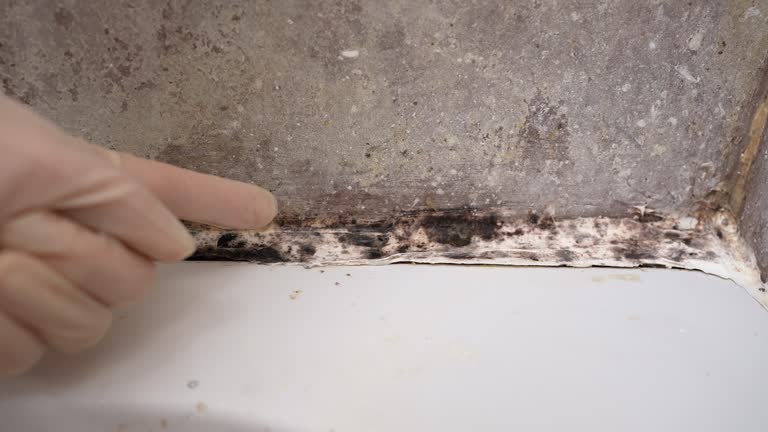 Best Mold Removal for HVAC Installations  in Irrigon, OR